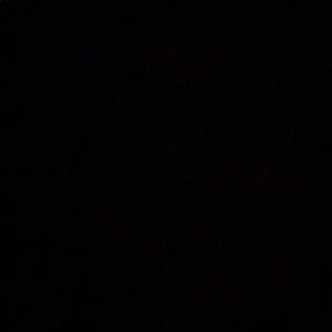 Meet your Posher, Lashawna